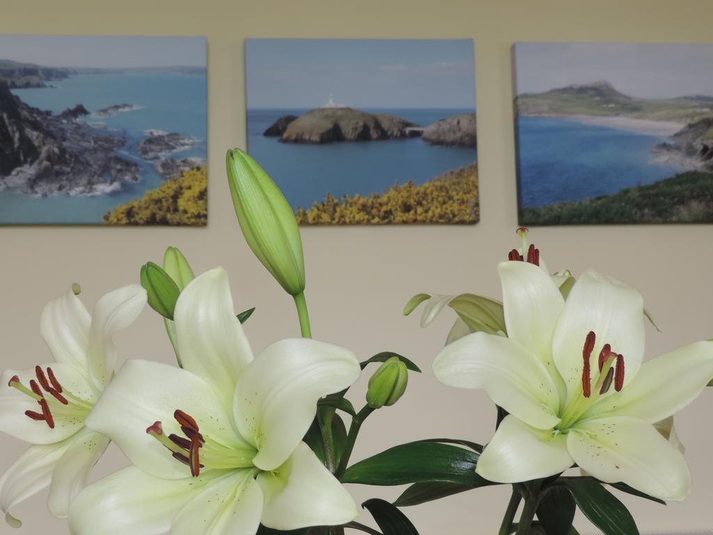 Fern Villa B&B Fishguard Exterior photo